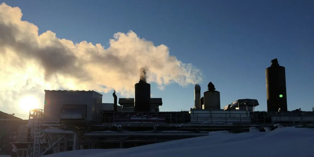 Photograph courtesy of Wikimedia Commons/Janne Wallenius