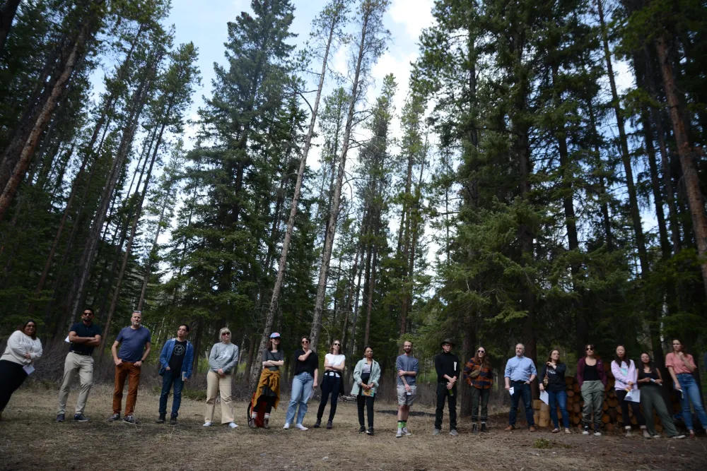 Staff in the trees