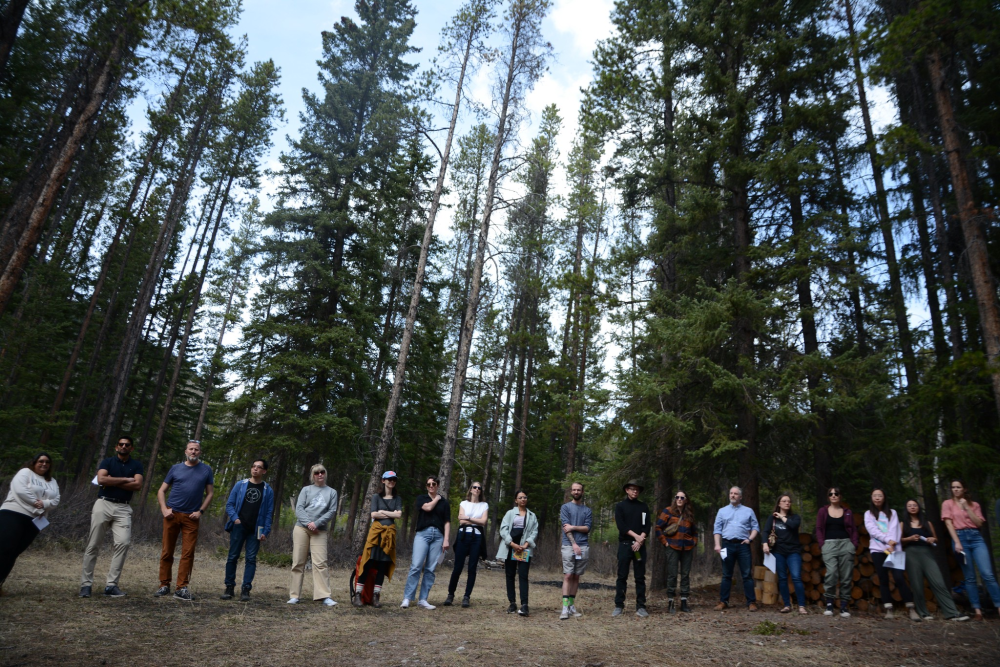 Staff in the trees