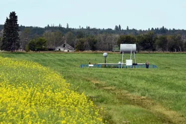 Oil and gas equipment in a field in summertime, with yellow flowers in the foreground