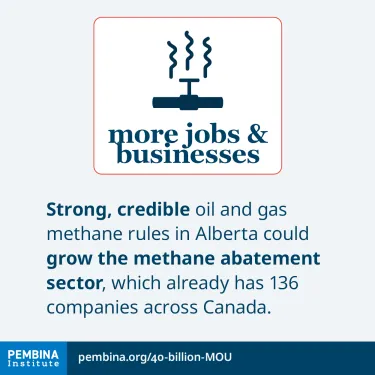 Graphic card explaining methane abatement investment