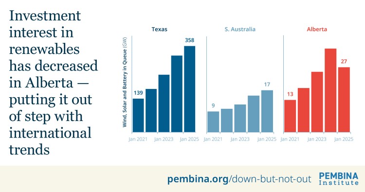 Three bar charts side by side showing wind, solar, and energy storage in project development queues for Texas, South Australia and Alberta, 2021-2025. The Alberta chart is the only one that shows a fall from January 2024 to January 2025.