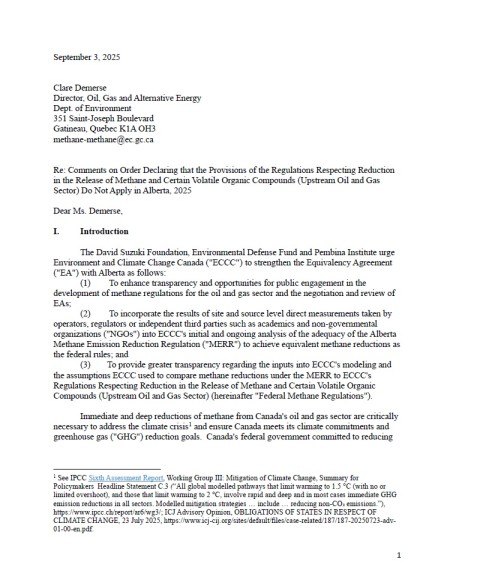 The first page of the submission