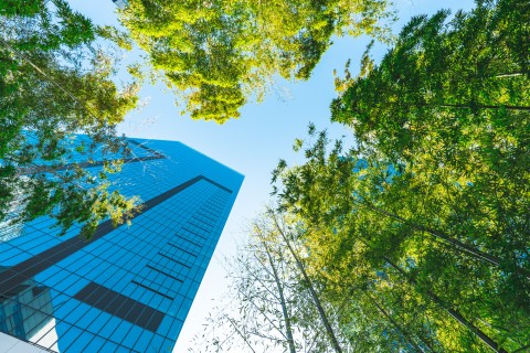 Blue sky 