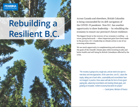 cover of Action plan with soaring trees