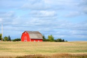 A farmhouse in a field in rural Alberta, with a cloudy sky
