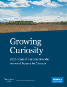 Growing Curiosity Cover Page