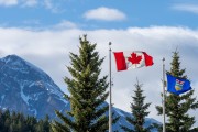 The flag of Canada and flag of Alberta, with mountains