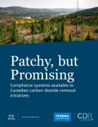 Patchy, but Promising cover